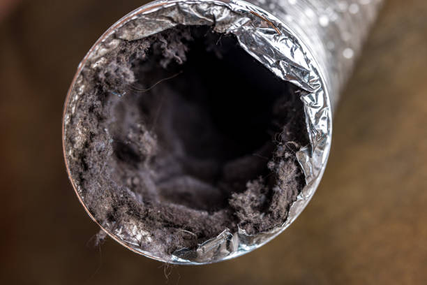 Air Duct Mold Removal